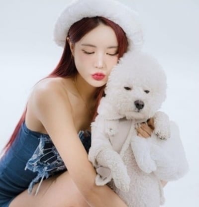 배달원 사망 '강남 벤츠 음주운전' DJ 예송, 사고 직후 강아지 껴안더니 결국 구속 [TEN이슈]