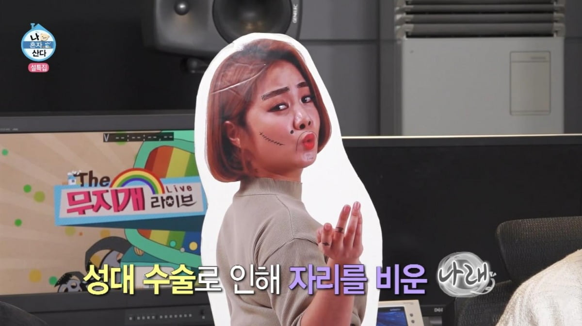 사진=MBC '나 혼자 산다' 캡처
