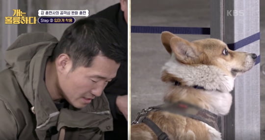 훈련사 강형욱/사진=KBS '개는 훌륭하다' 캡처