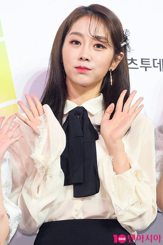 "이미지 하락" vs "생계 유지" 러블리즈 서지수, 인터넷 방송 BJ 데뷔놓고 논란 [TEN피플]