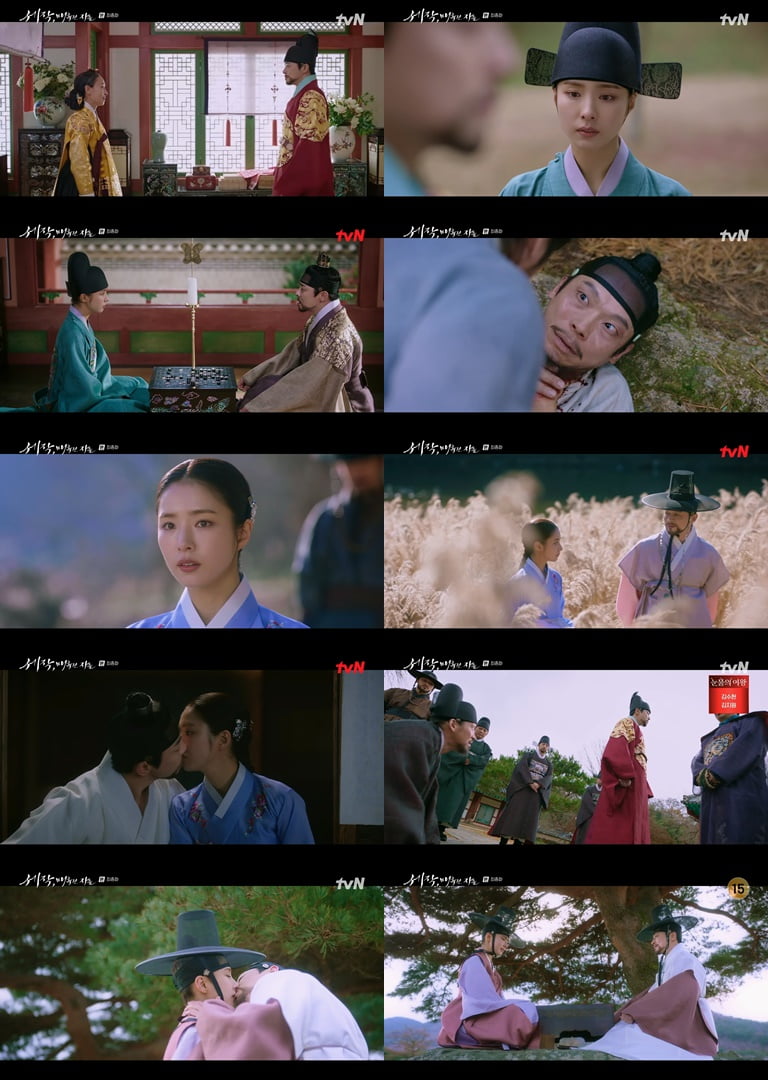 tvN ‘세작, 매혹된 자들’