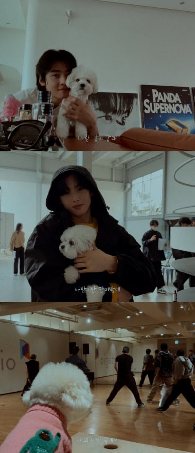 차은우, '원더풀 월드' 상승세에 힘입어…'You're the best' MV 기습 공개