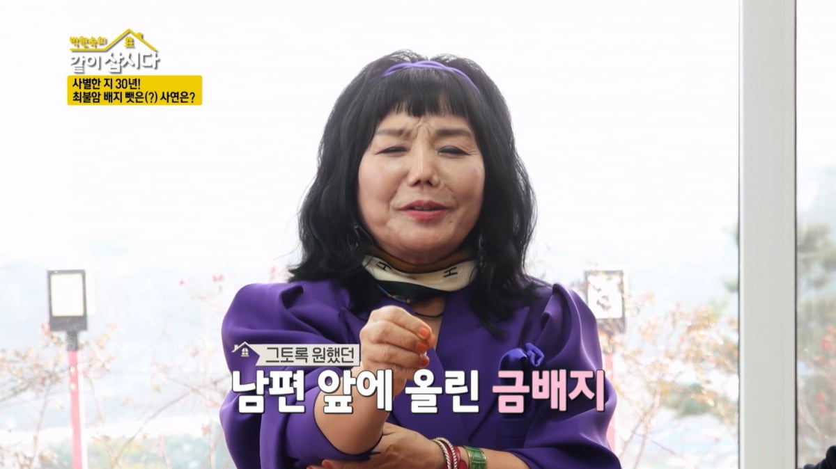 [종합] 이숙, "정치인 남편, 2번 낙선 후 작고"…최불암에 국회의원 배지 빌린 이유('같이삽시다')