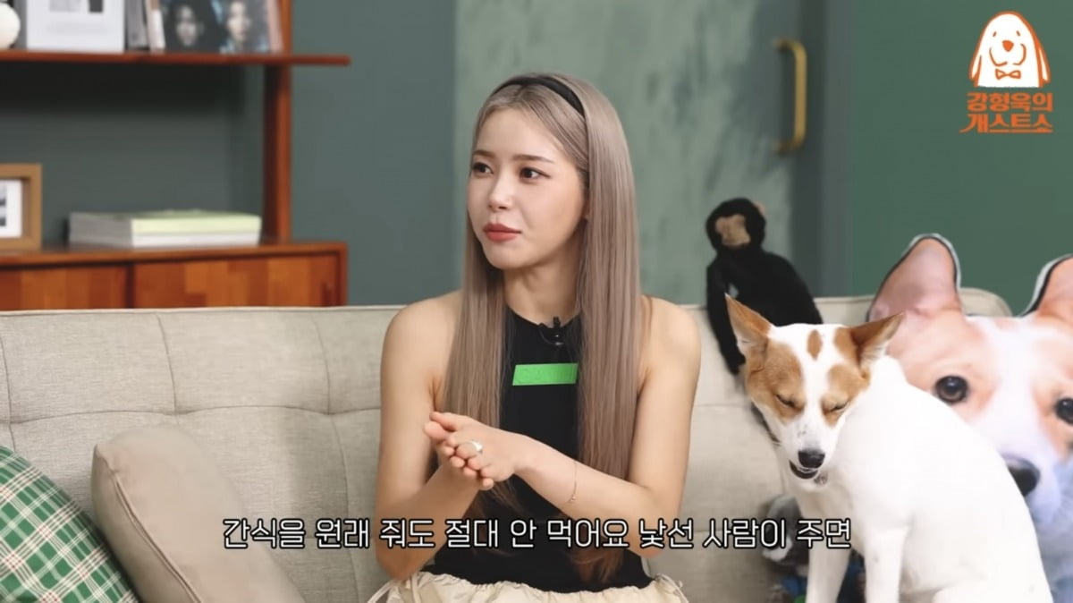 사진=유튜브 채널 '강형욱의 보듬TV' 영상 캡처