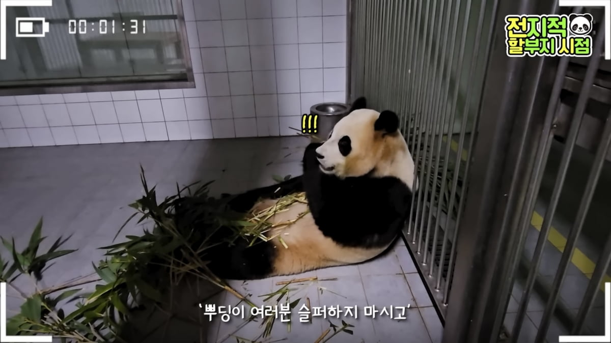 사진=유튜브 '말하는동물원 뿌빠TV' 영상 캡처