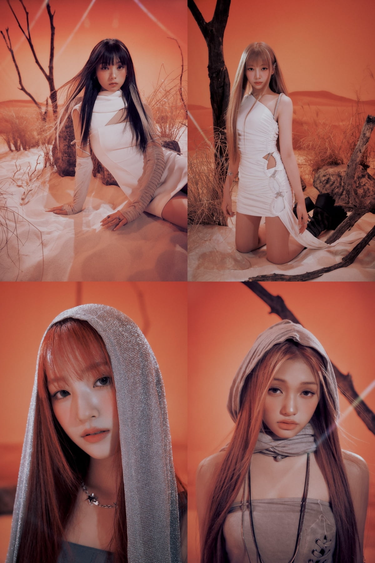 / 사진제공 = F&F엔터테인먼트