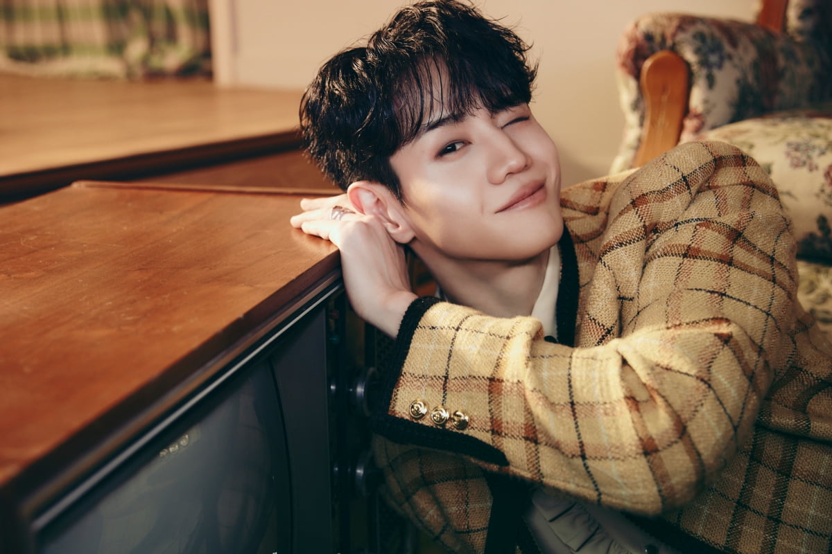 그룹 하이라이트 /사진 = 어라운드어스