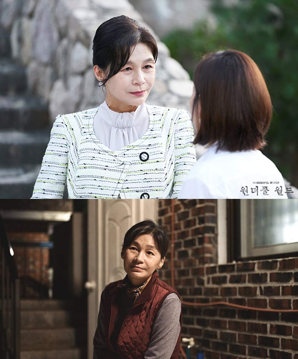 [사진 = MBC ‘원더풀 월드’. 영화 ‘돌핀’]