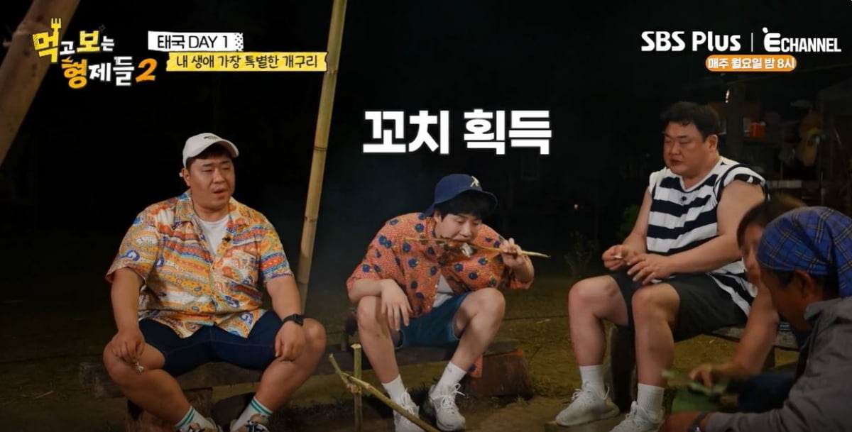 사진='먹고 보는 형제들2' 갈무리