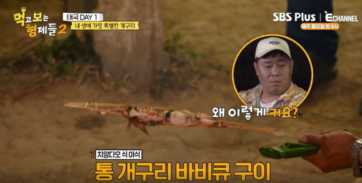 사진='먹고 보는 형제들2' 갈무리