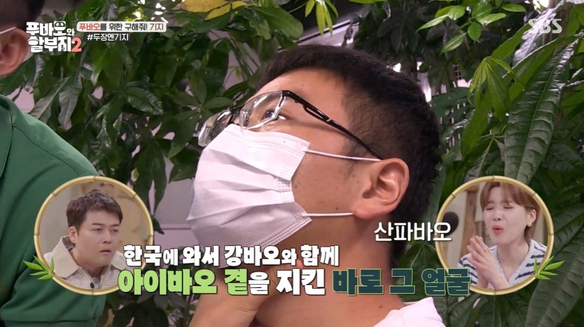 사진='SBS '푸바오와 할부지 2' 캡처