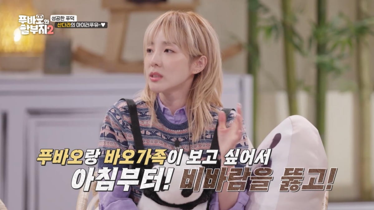 [종합] 산다라박, "편찮으신 母, 외출하게 한 푸바오" 오열('푸바오와 할부지2')