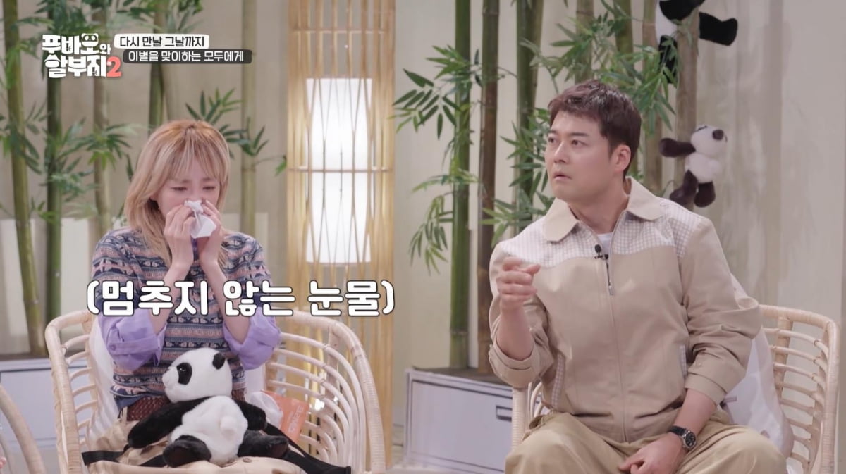 [종합] 산다라박, "편찮으신 母, 외출하게 한 푸바오" 오열('푸바오와 할부지2')