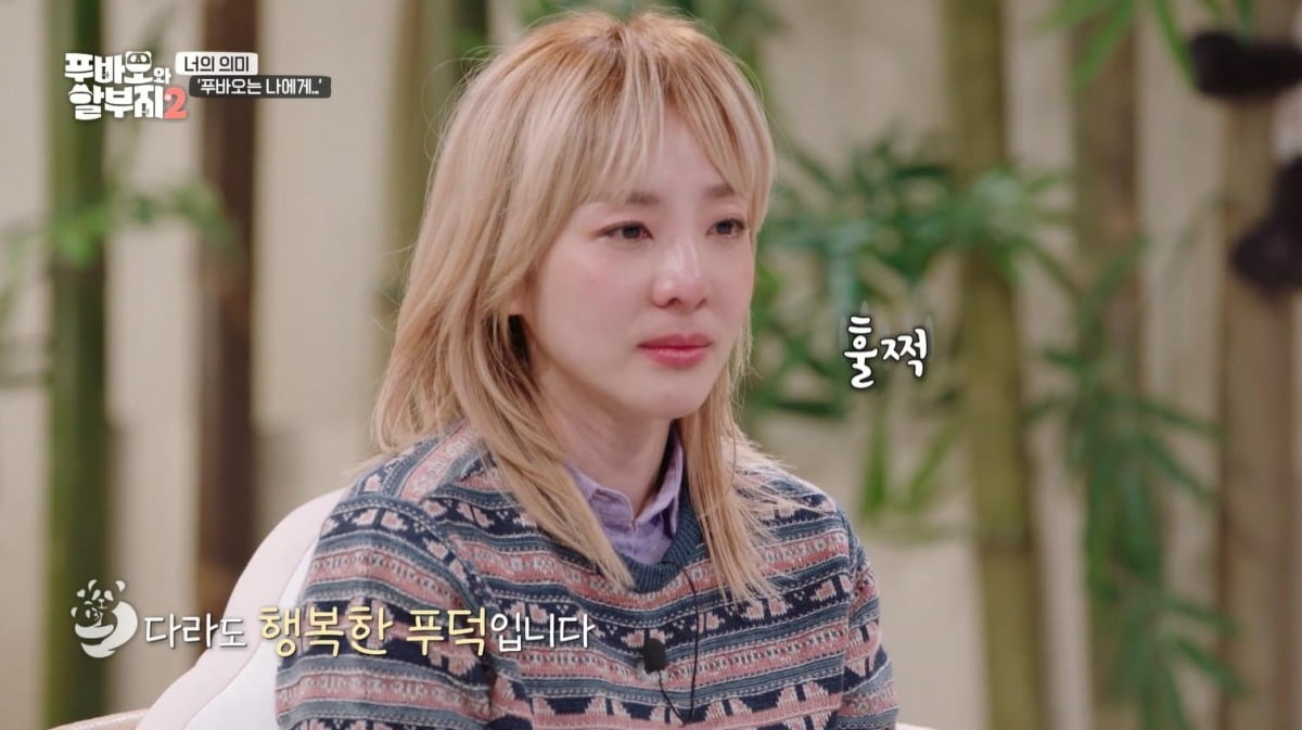 사진=SBS '푸바오와 할부지2' 캡처