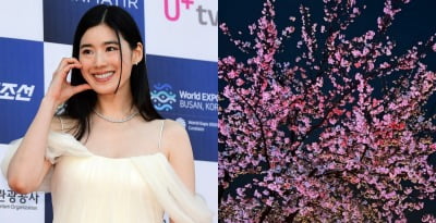 チョン・ウンチェ、ピンクの写真をアップロード