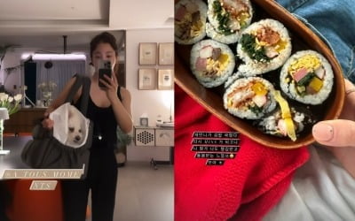 기은세, 이혼 후 새집 차렸다…"다시 미스되니 돌봄받아 좋아"