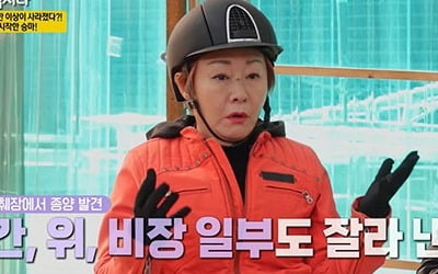 Bae Yeon-jeong confesses to pancreatic cancer, “I cut out 13cm of my organ”