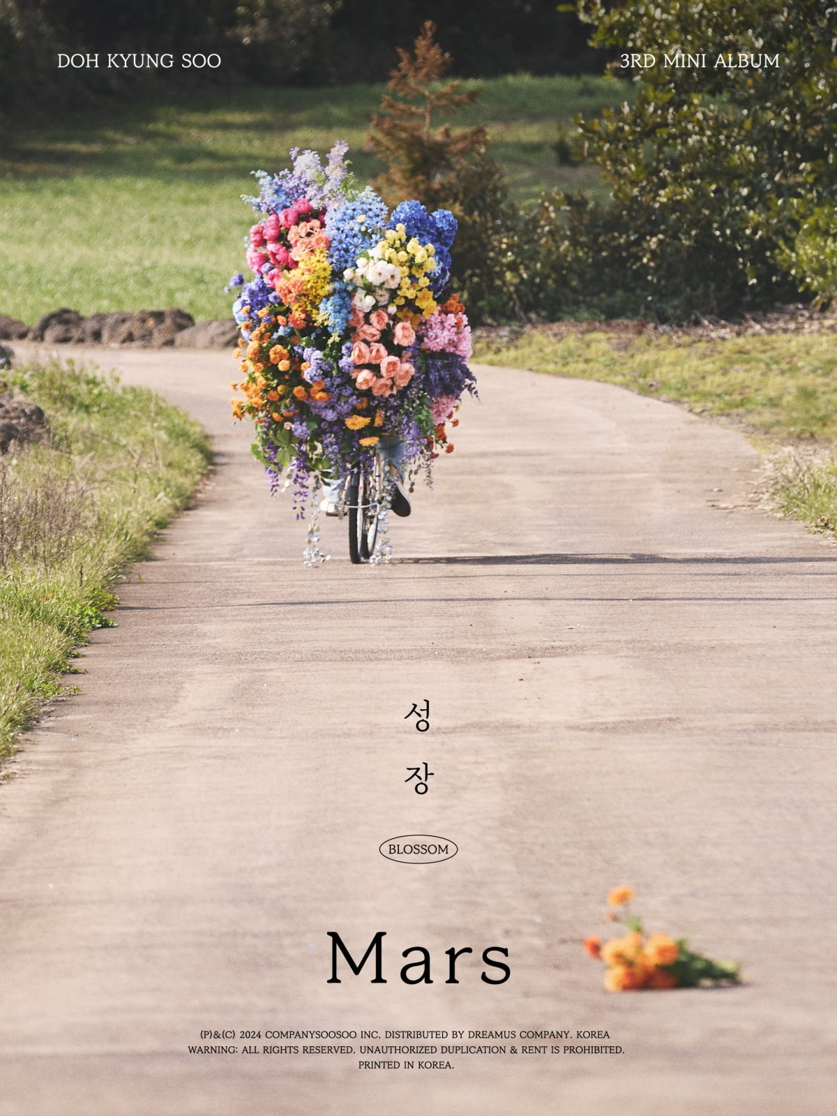/사진제공=컴퍼니 수수