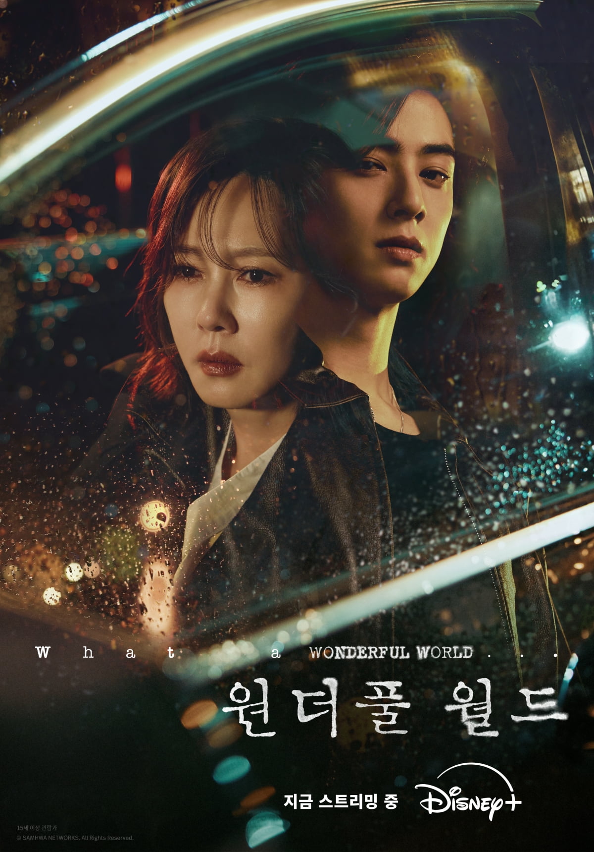 원더풀 월드