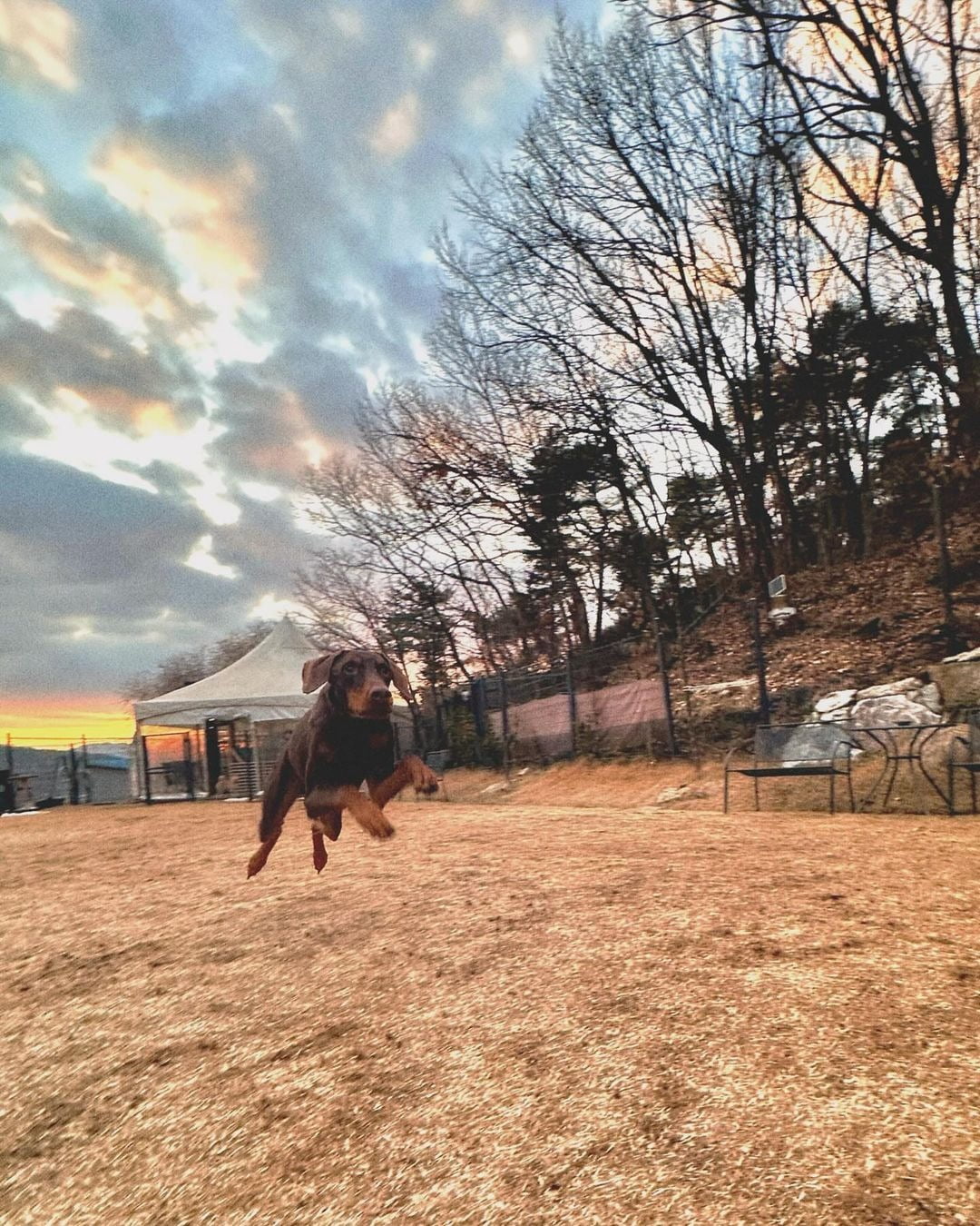 사진=정국 SNS