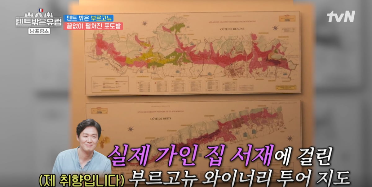 텐트 밖은 유럽