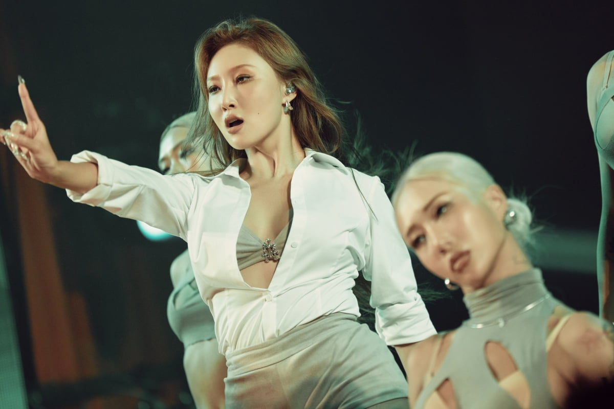 사진 제공 = 피네이션
