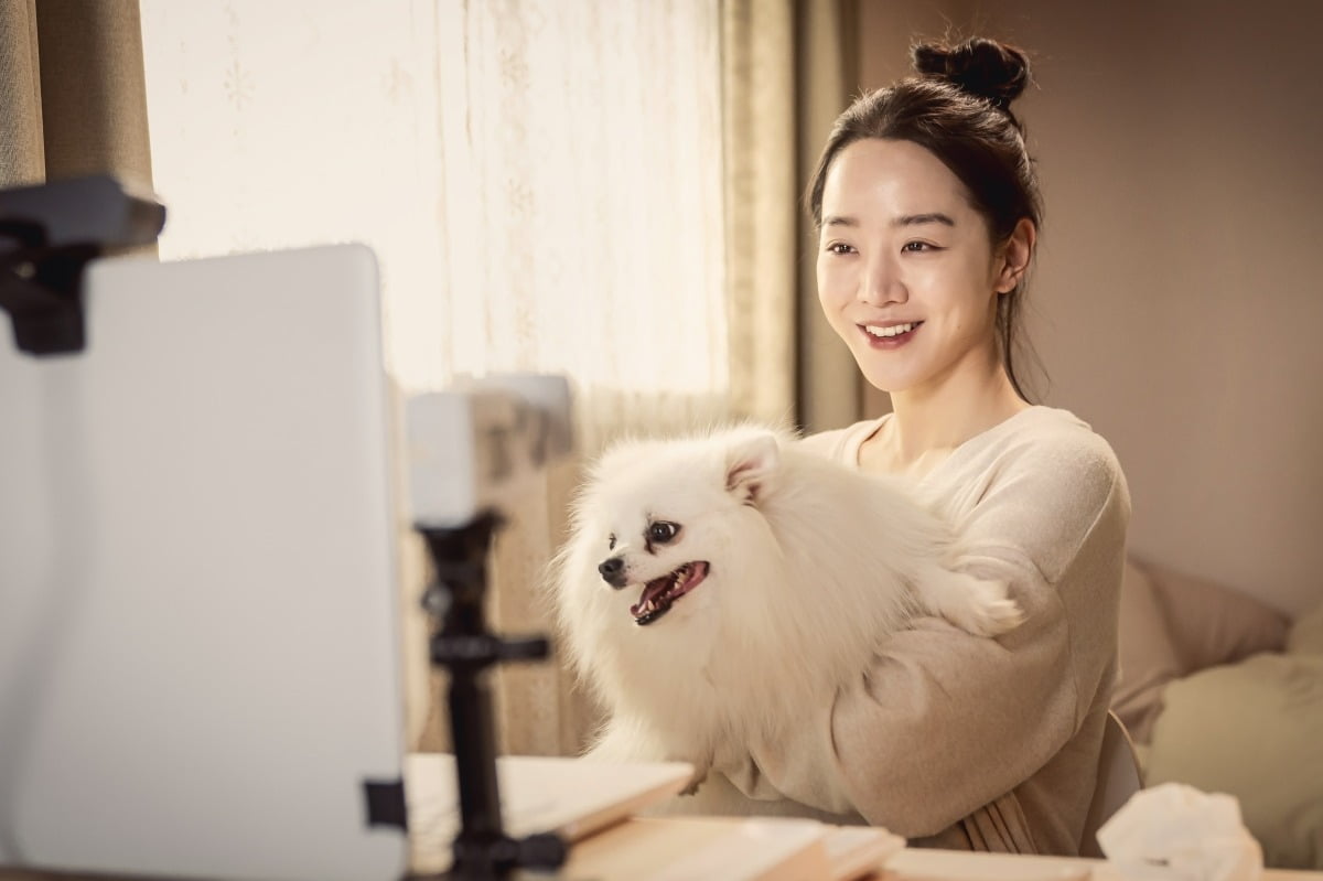 사진제공=콘텐츠지오, 아티스트스튜디오, 무빙픽쳐스컴퍼니