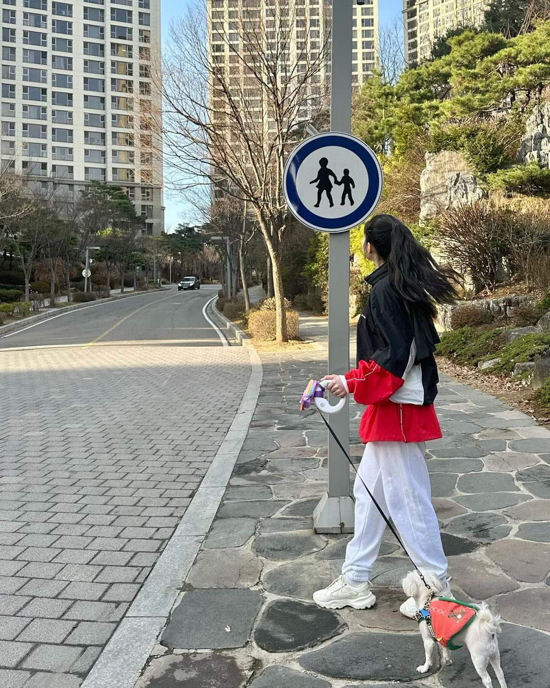 전진, ♥류이서 얼마나 좋으면 길바닥에…"요새 엎드려서 찍는 거 좋아함"
