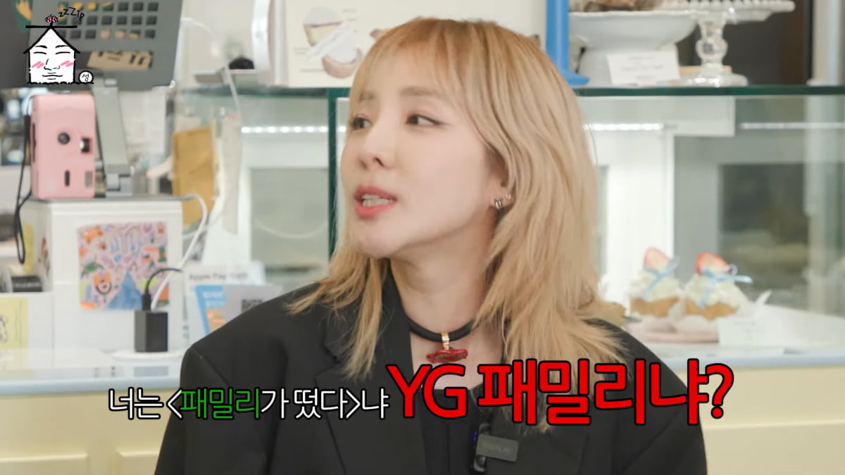 사진=유튜브 '집대성'
