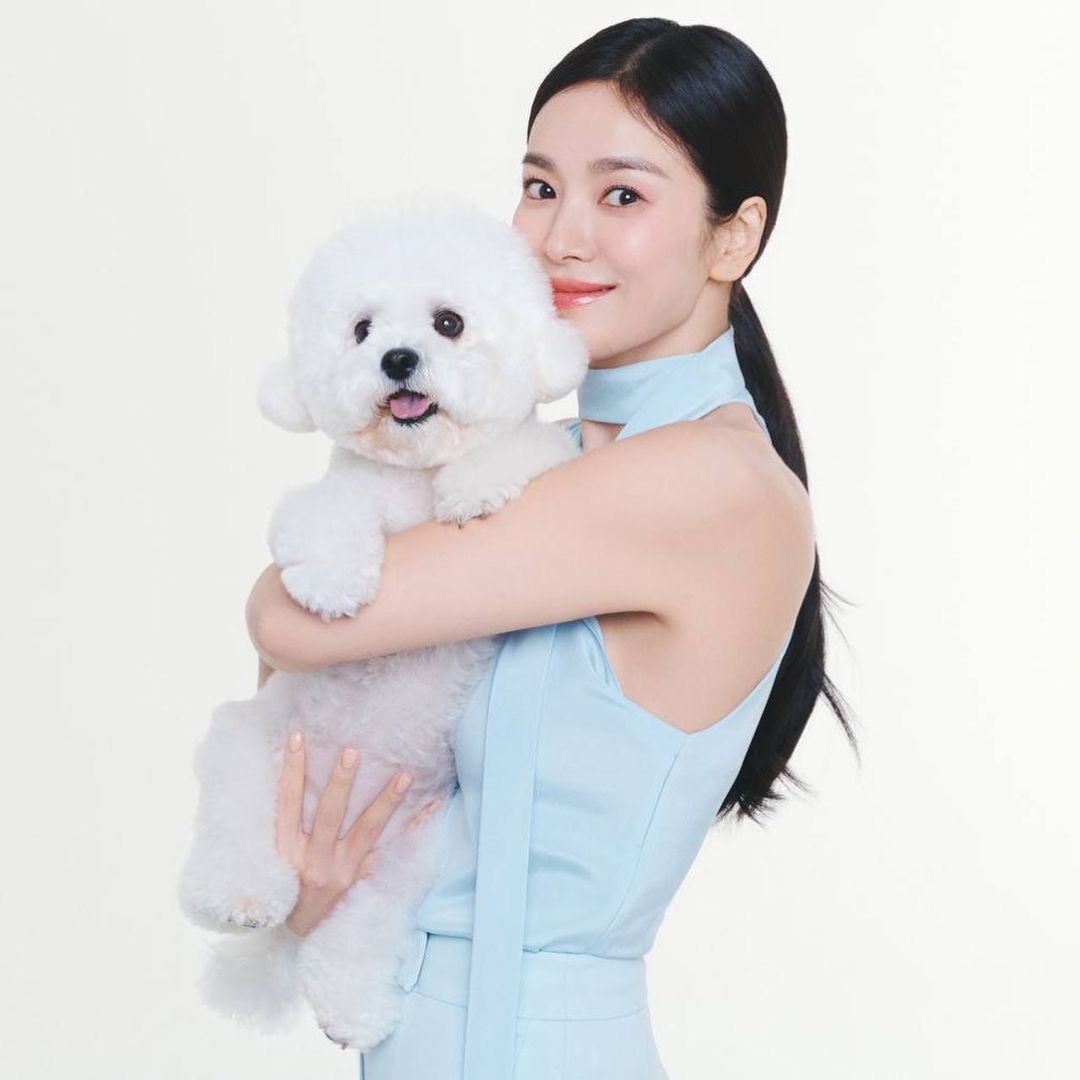 사진 = 송혜교 SNS 갈무리