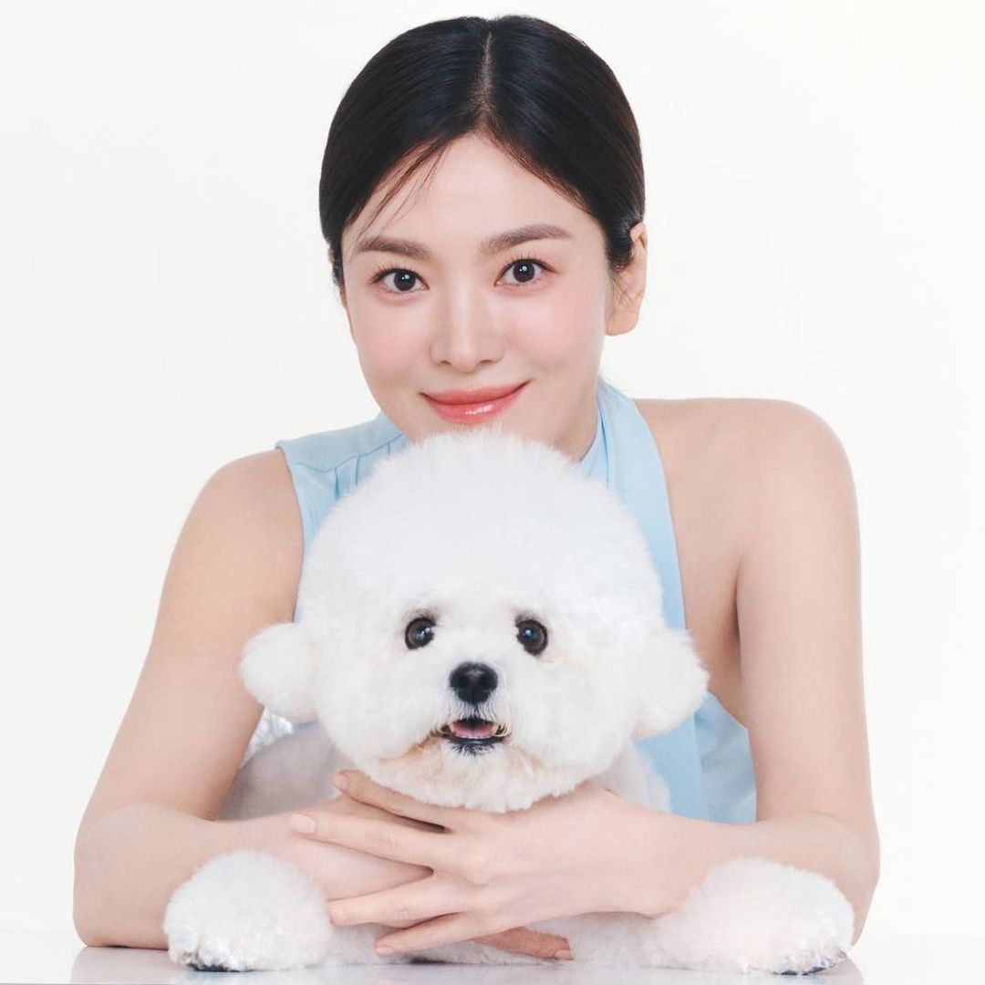 사진 = 송혜교 SNS 갈무리