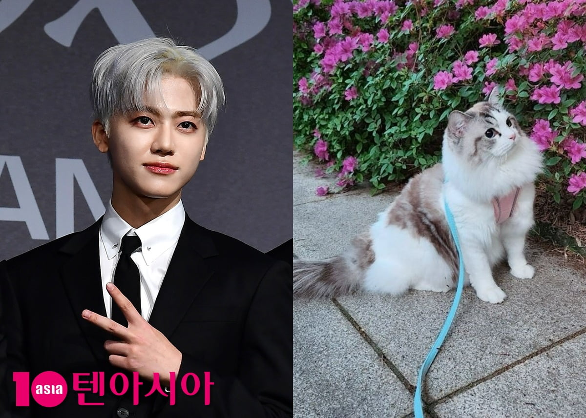 사진 = 텐아시아 사진 DB·재민 SNS 갈무리