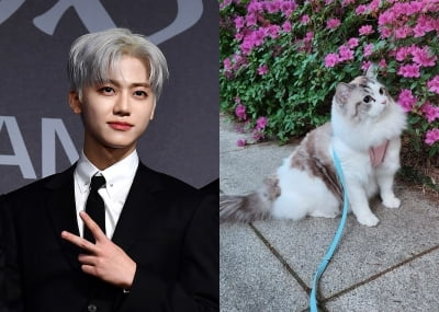 "고양이 학대" VS "과한 오지랖"…NCT 재민 고양이 산책 두고 설전 [TEN이슈]