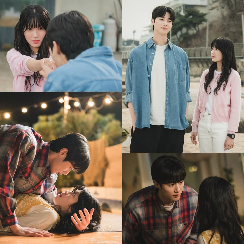 사진제공=tvN