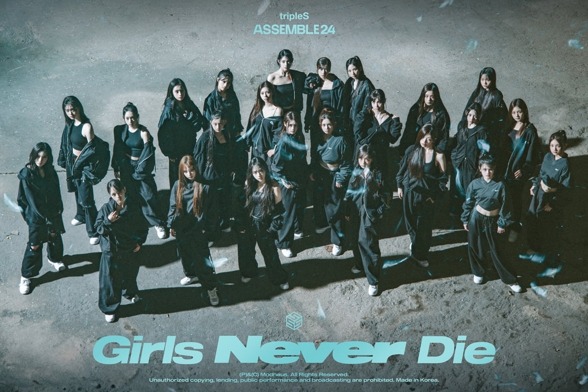 트리플에스 어셈블24 / 사진 제공 = 모드하우스