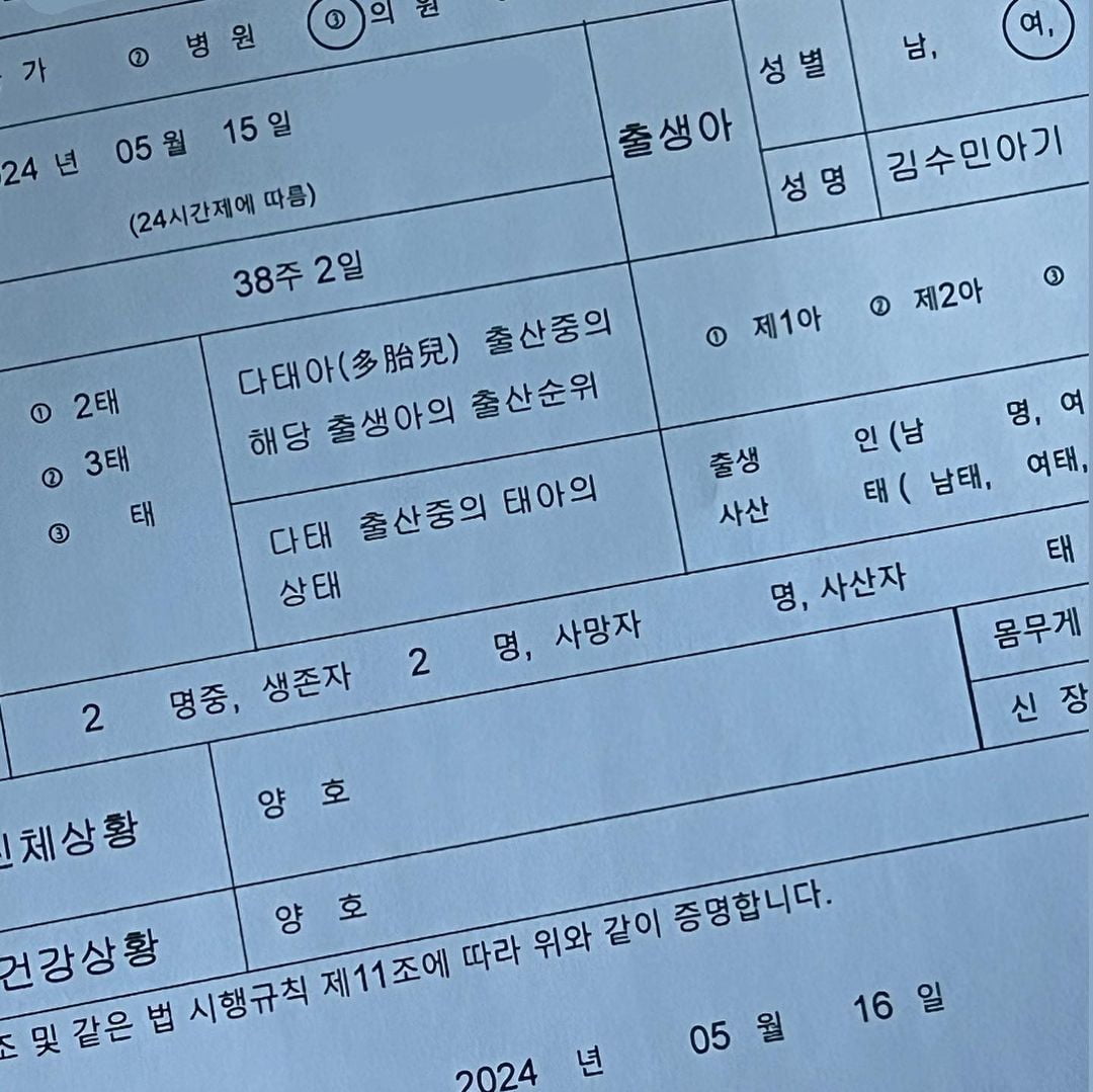 'SBS 퇴사→♥검사와 결혼' 김수민, 딸 출산 "이름은 정온"…모녀 투샷 공개