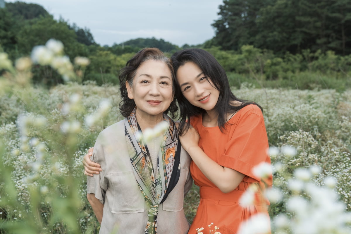 수지♥박보검, 시상식 커플에서 연인으로…정유미·공유, N번째 만남('원더랜드')