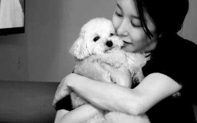 '시험관 성공' 아야네, 임신 33주차 "숨이 턱턱" 막히는데도 "임산부로 더 있고 싶어"