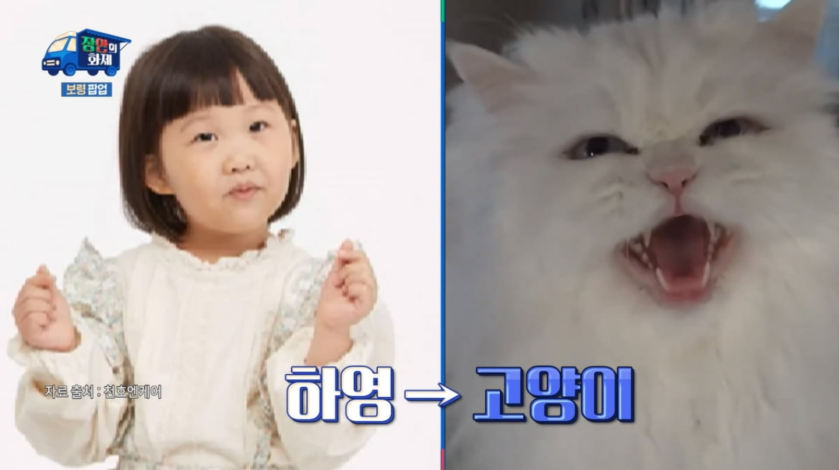 [종합] '도경완♥' 장윤정 "아들=강아지, 딸=고양이…희한한 애 태어나"('장안의 화제')