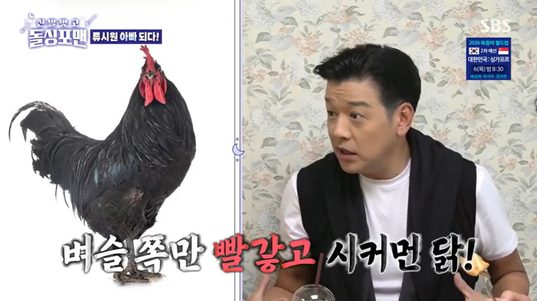 류시원, 아내 임신 "검은 닭 나온 태몽, 딸이라고…예정일은 크리스마스"('돌싱포맨')
