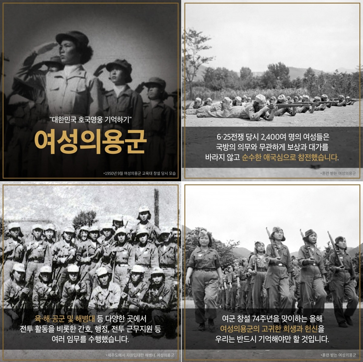 사진제공=서경덕 교수팀