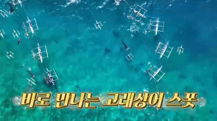 사진제공=채널S, SK브로드밴드