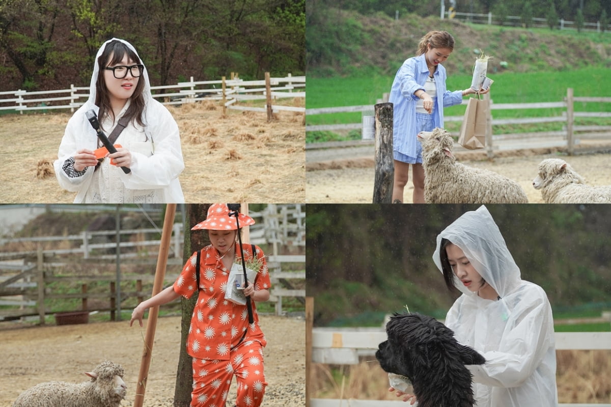 사진제공=tvN