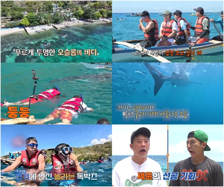 유세윤 "타잔이 된 느낌" 고래상어와 프리다이빙 후 뽐낸 수영 실력 ('독박투어2')