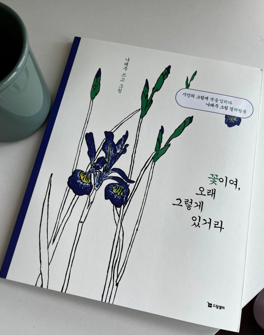 '백윤식 며느리' 정시아 아들, 키가 얼마나 큰 거야…폭풍 성장 근황[TEN★]