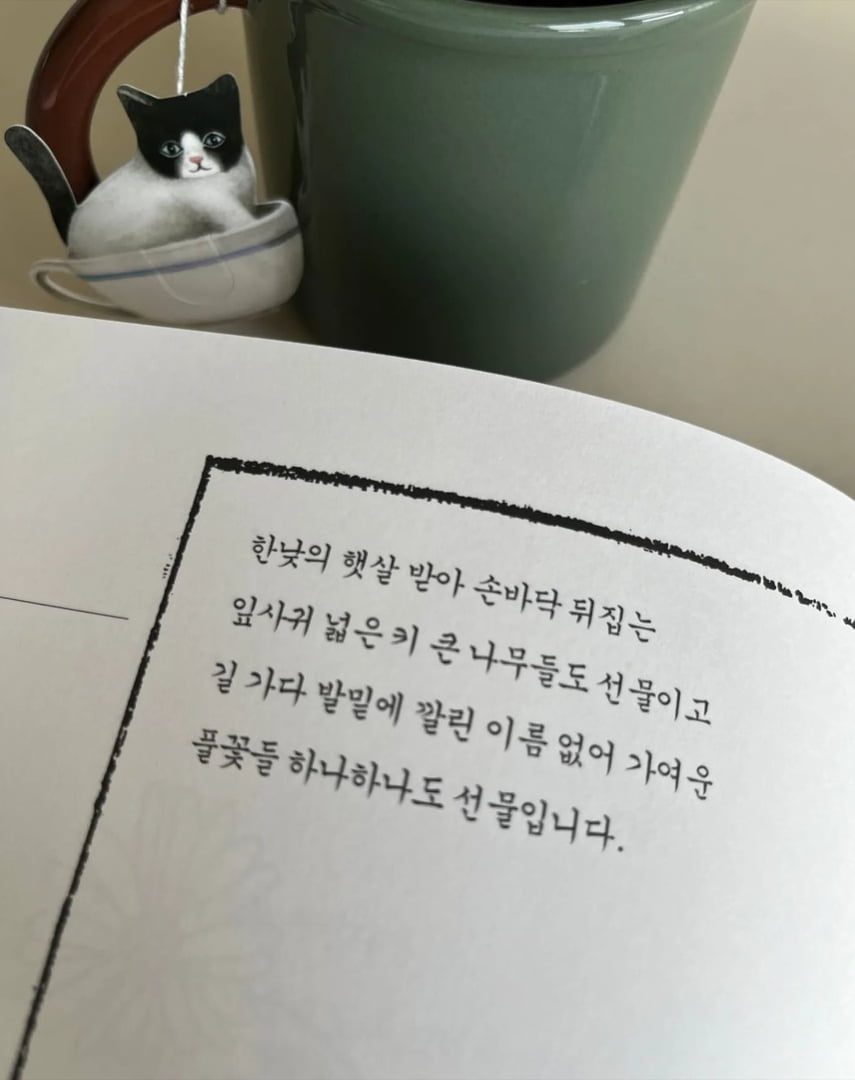 '백윤식 며느리' 정시아 아들, 키가 얼마나 큰 거야…폭풍 성장 근황[TEN★]