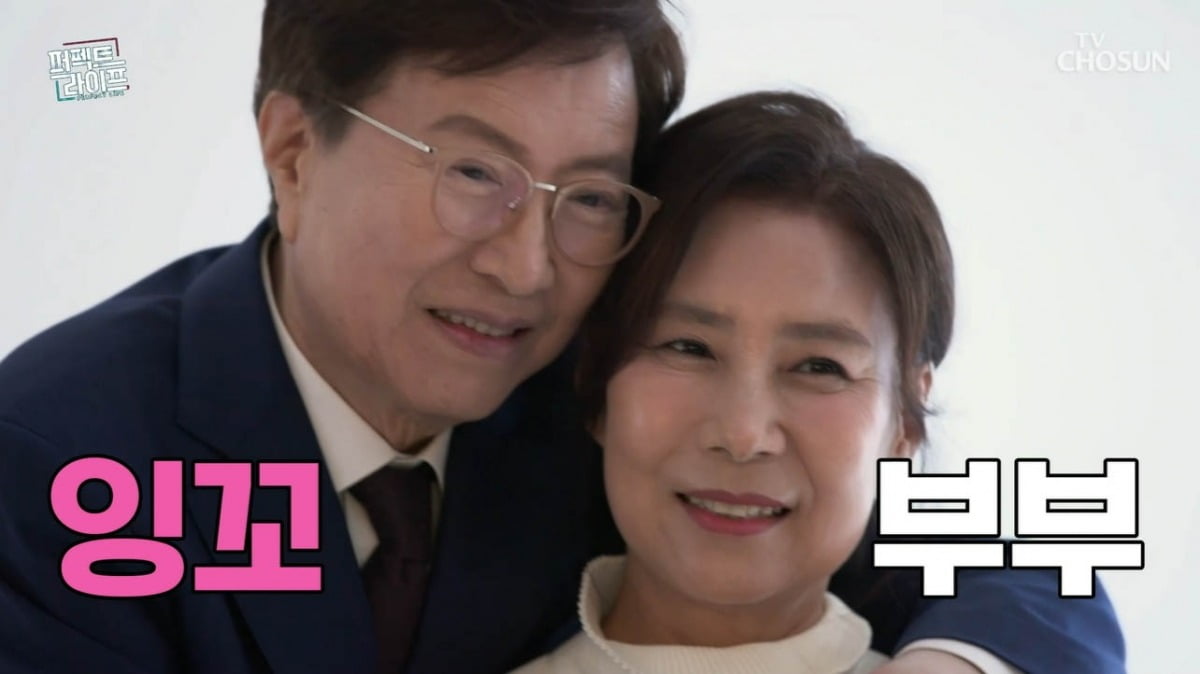 사진=TV조선 '퍼펙트 라이프' 캡처