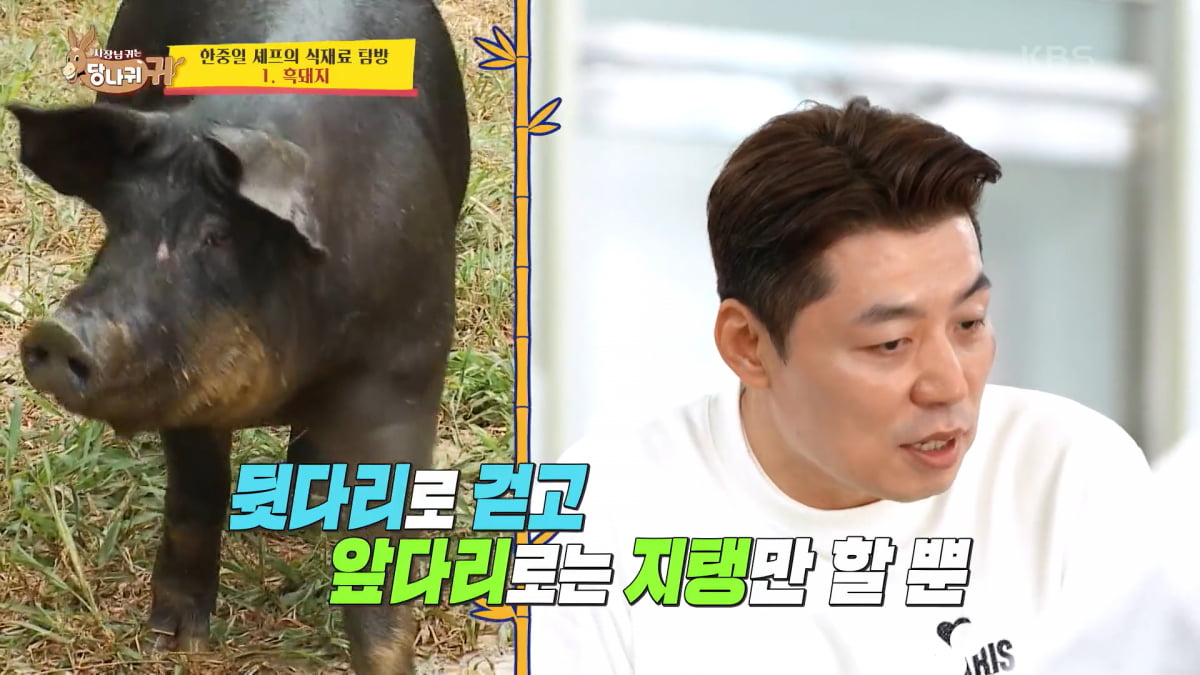 / 사진=KBS '사장님 귀는 당나귀 귀' 