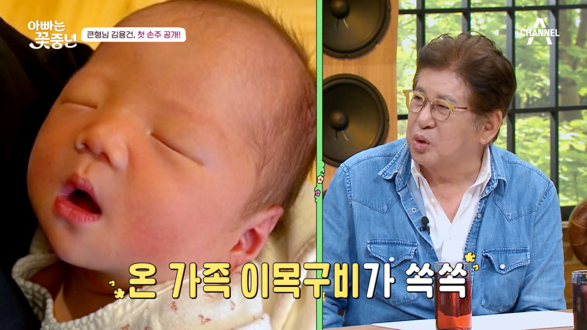 / 사진=채널A
