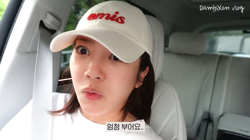사진=유튜브 채널 '담비손' 갈무리